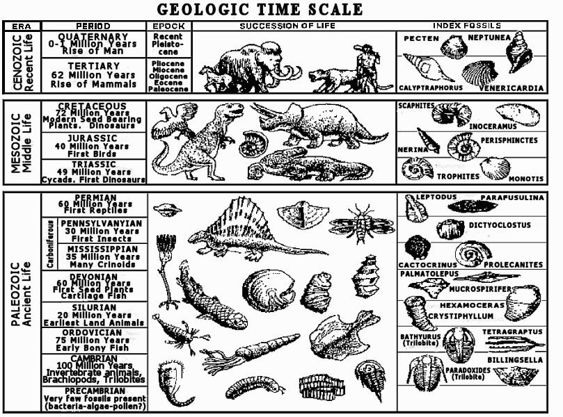 geological time scale diagram. Geologic time scale