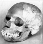 Piltdown Man