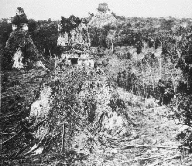 The Ruins of Tikal, Guatemala